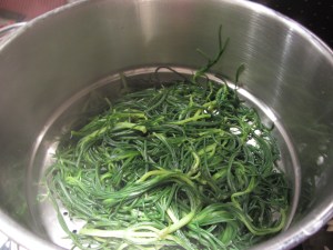 agretti 2